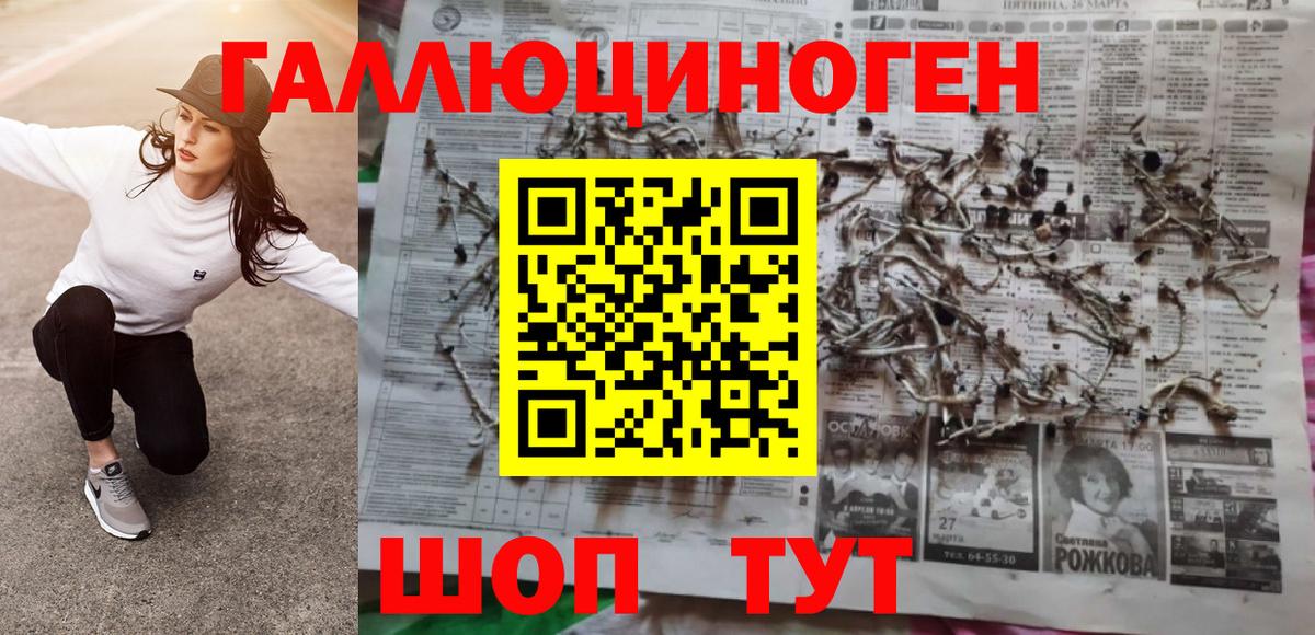 Галлюциногенные грибы MAGIC MUSHROOMS Кандалакша