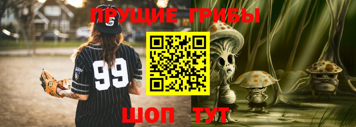 Псилоцибиновые грибы Cubensis  Вход с VPN  Кандалакша 